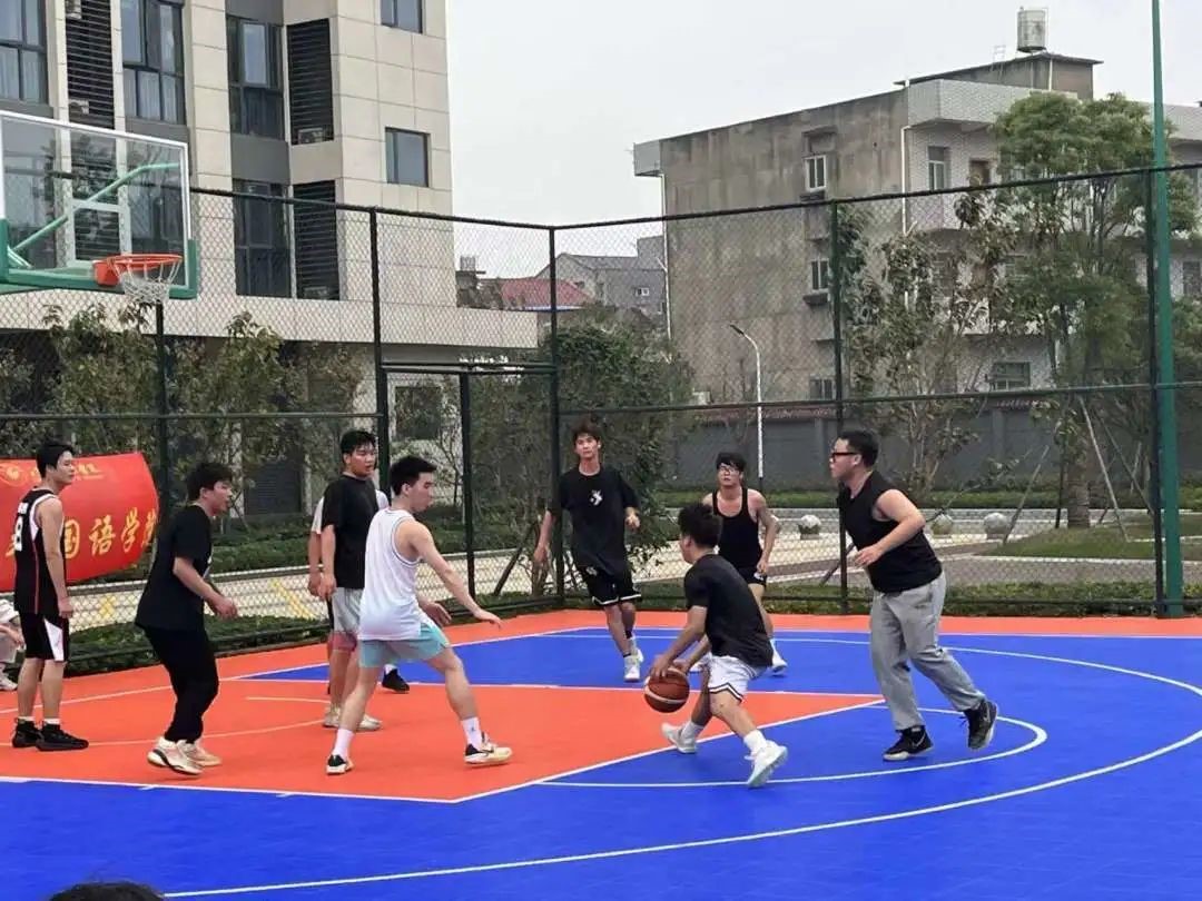 31D24